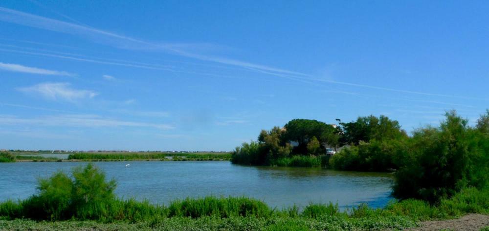 Bed and Breakfast Mas Des Cabidoules Saintes-Maries-de-la-Mer Zewnętrze zdjęcie